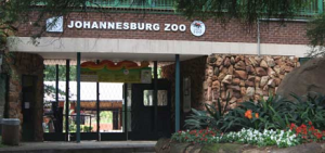 Johannesburg Zoo Africa 300x141 Johannesburg Zoo Africa