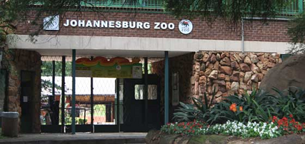 Johannesburg Zoo Africa Guide To Johannesburg Best Attractions | South Africa