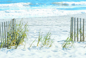 Myrtle Beach 300x203 Myrtle Beach