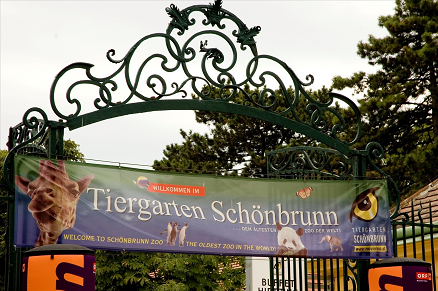 Tiergarten Schönbrunn Vienna Travel Guide | 5 Hottest And The Best Tourist Attractions