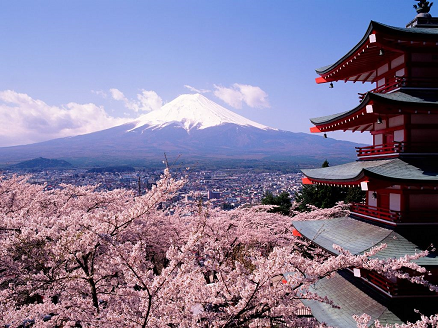 Tokyo Attractions And Spots | Visit Tokyo