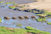 Best African Safari Tours for Families