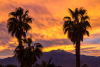 Thousand Palms Hotels