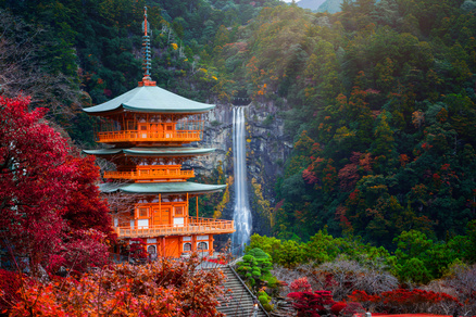 Japan Travel Guide: Everything You Need to Know Before You Go Japan Travel Guide: Everything You Need to Know Before You Go