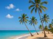 Sunny mild-weather beach with palm trees