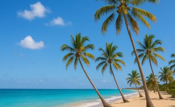 Sunny mild-weather beach with palm trees