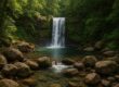 Waterfall with rocky pool in lush forest